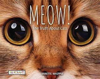 Meow! : the truth about cats, By: Annette Whipple