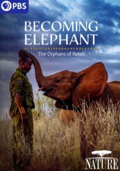 Becoming Elephant; the Orphans of Reteti